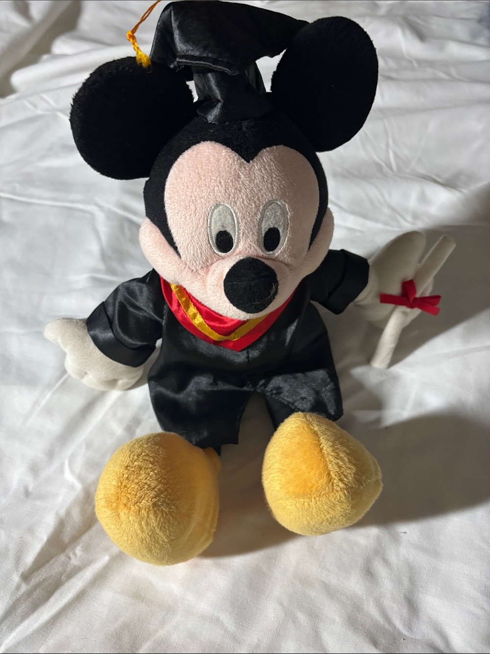 Disney Mickey Mouse Graduation